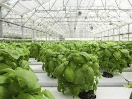 farming 22