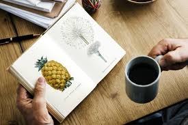 bsc 1st year botany syllabus 2023 pdf