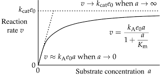 order of reaction examples