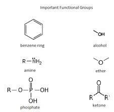 priority list of functional groups