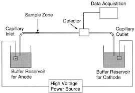 ELECTROPHORESIS KA MUL SIDHANT AUR TECHNIQUE